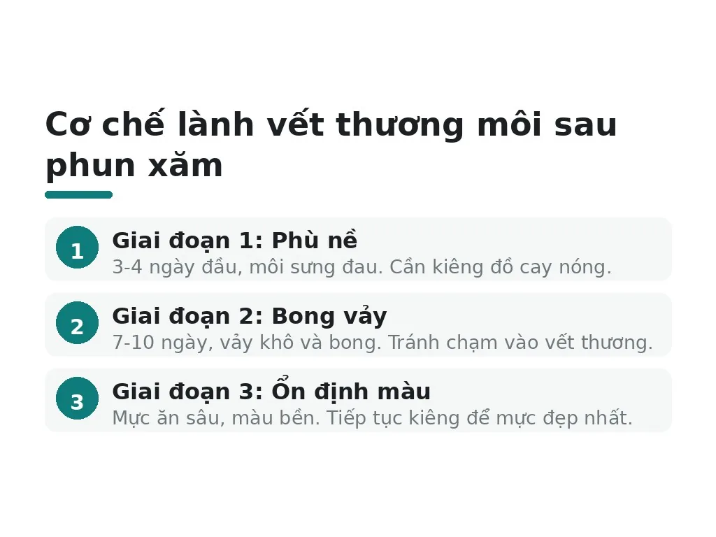 Cơ chế lành vết thương môi sau phun xăm