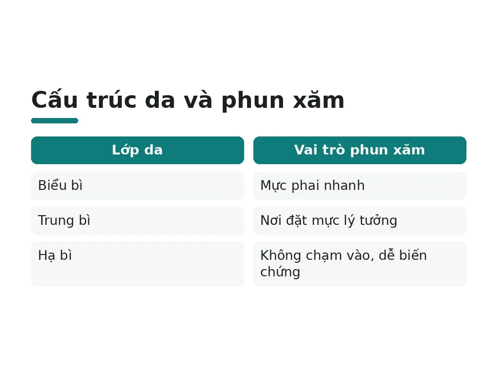 Cấu trúc da và phun xăm