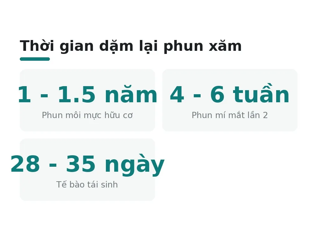 Khi nào nên dặm lại phun xăm?