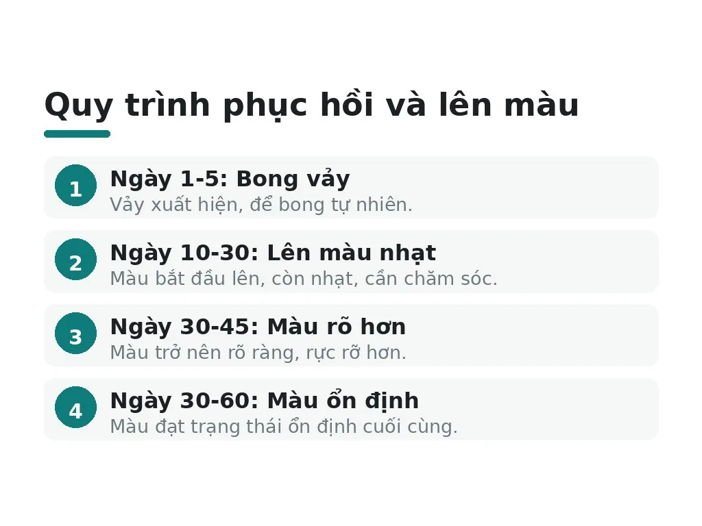 Quy trình phục hồi và lên màu