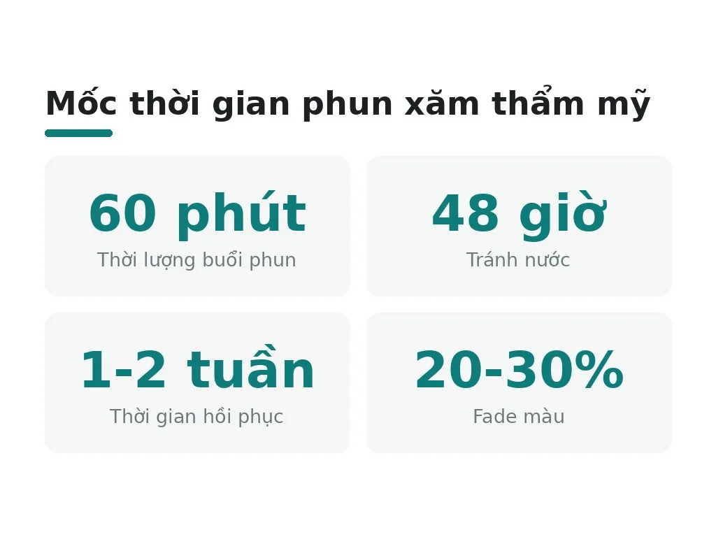 Quy trình, thời gian và quá trình hồi phục