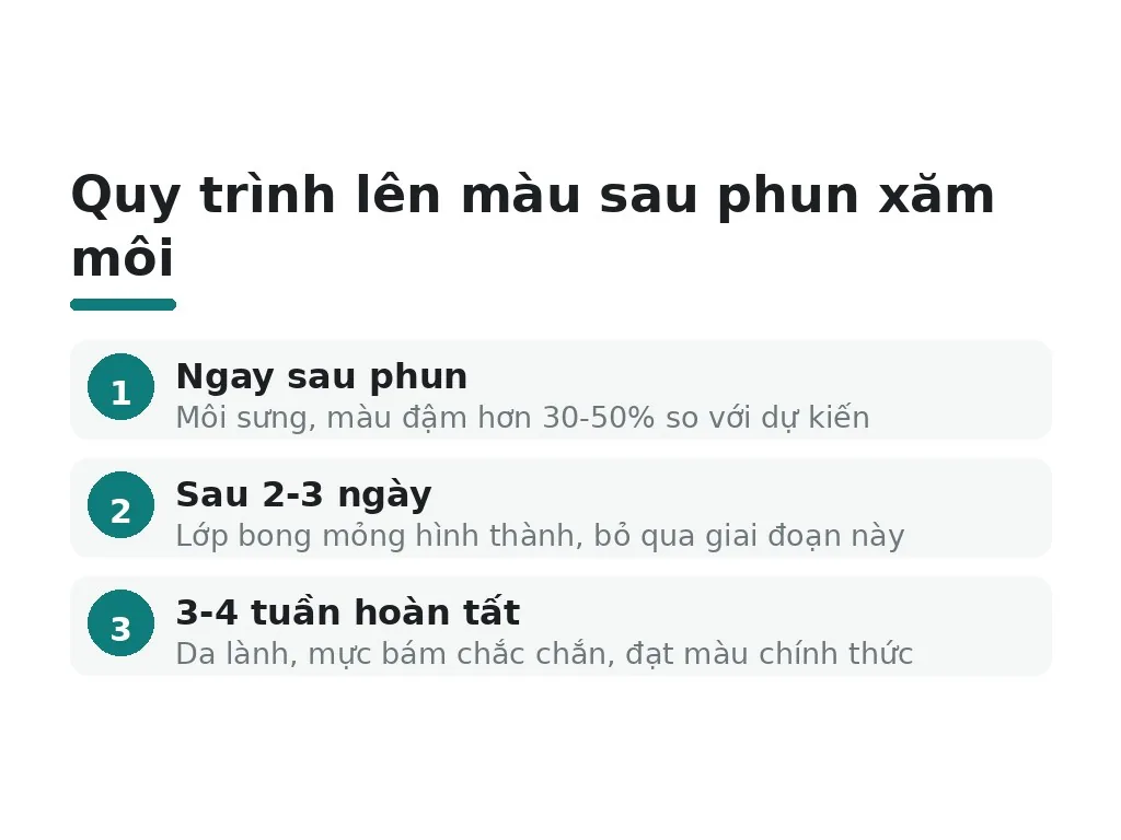 Chăm sóc môi sau phun xăm quyết định 70% kết quả?